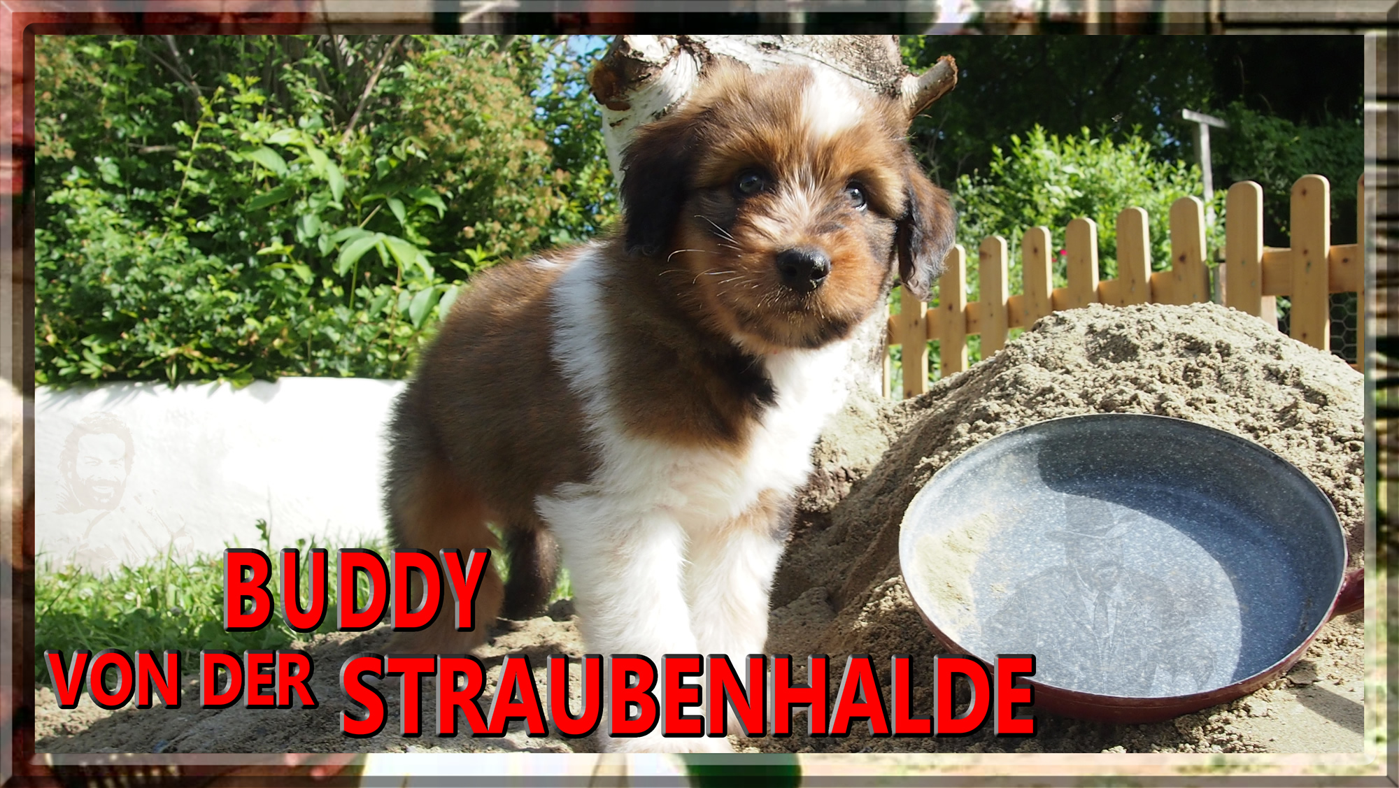 Wäller von der Straubenhalde